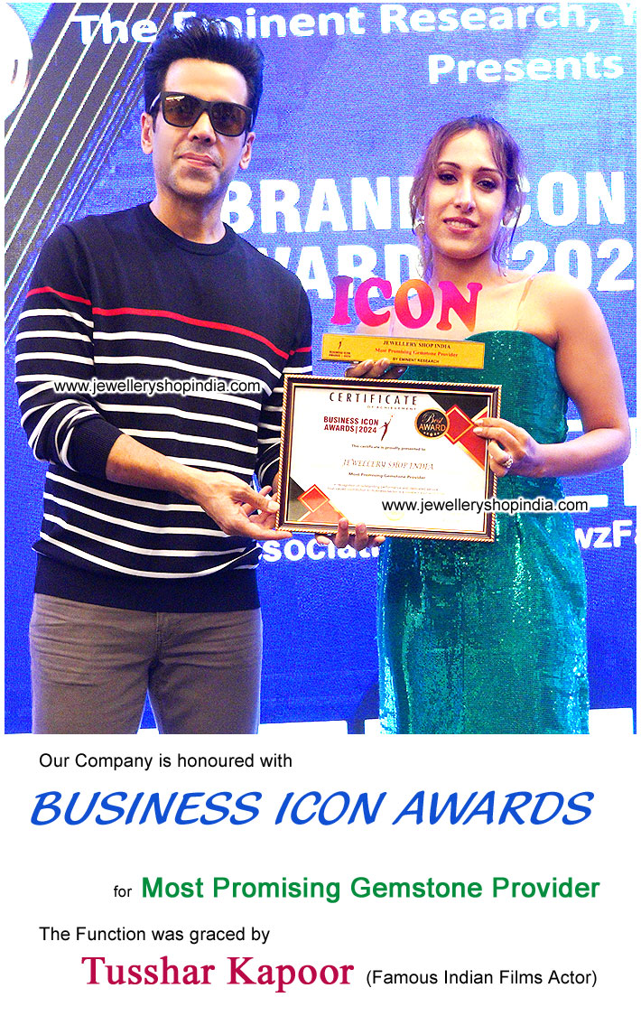 Tusshar Kapoor Film Actor Awarded for Business Icon Award