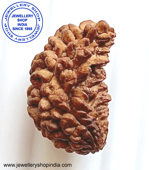 1 Mukhi Rudraksha from Nepal