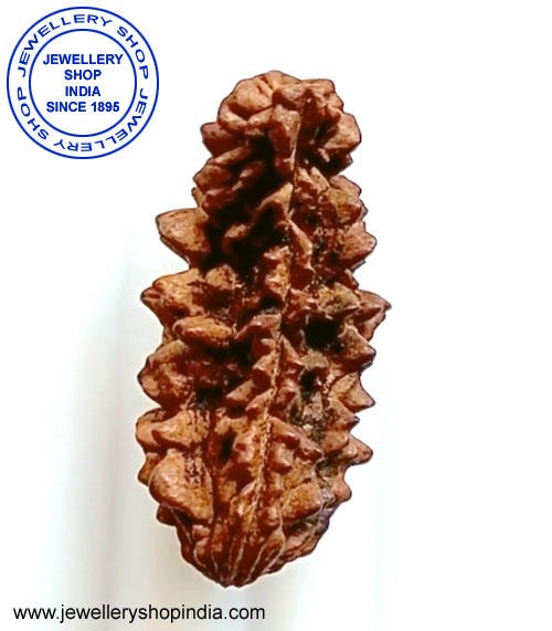 1 Mukhi Rudraksha from Nepal thumbnail