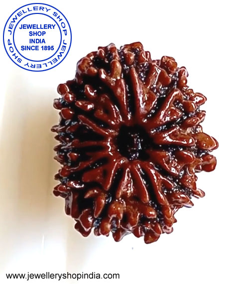 11 Mukhi Rudraksha from Nepal