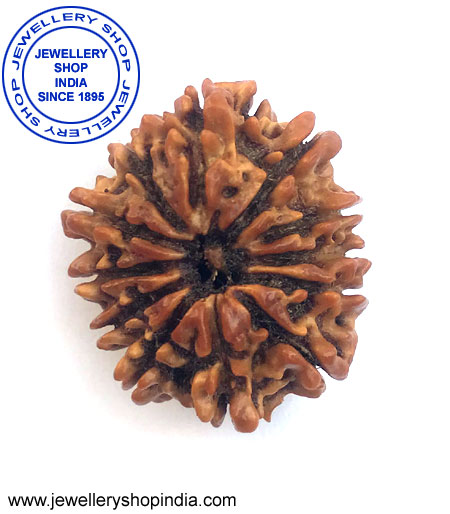 12 Mukhi Rudraksha from Nepal
