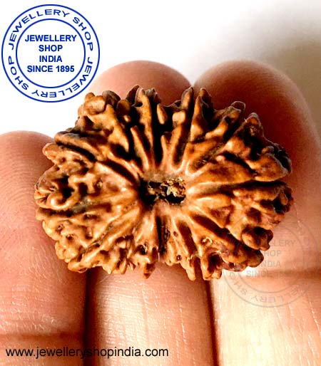 12 Mukhi Rudraksha from Nepal