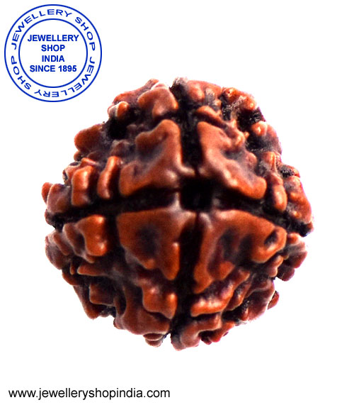 4 Mukhi Rudraksha from Nepal