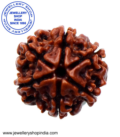 6 Mukhi Rudraksha from Nepal