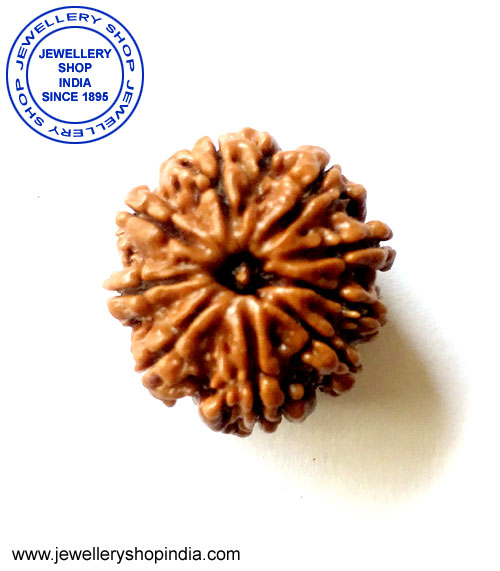 9 Mukhi Rudraksha from Nepal