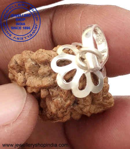 2 Mukhi Rudraksha from NepalPendant thumbnail